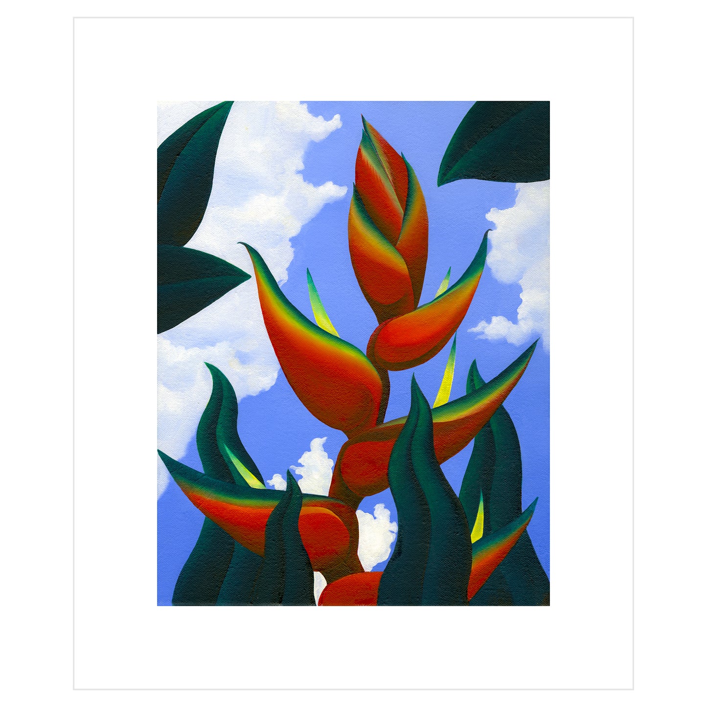 Heliconia bihai