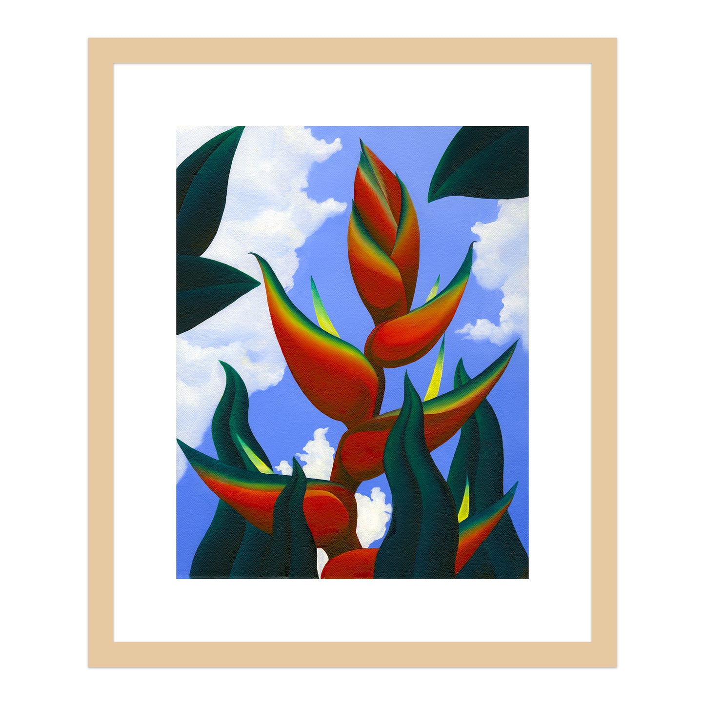 Heliconia bihai