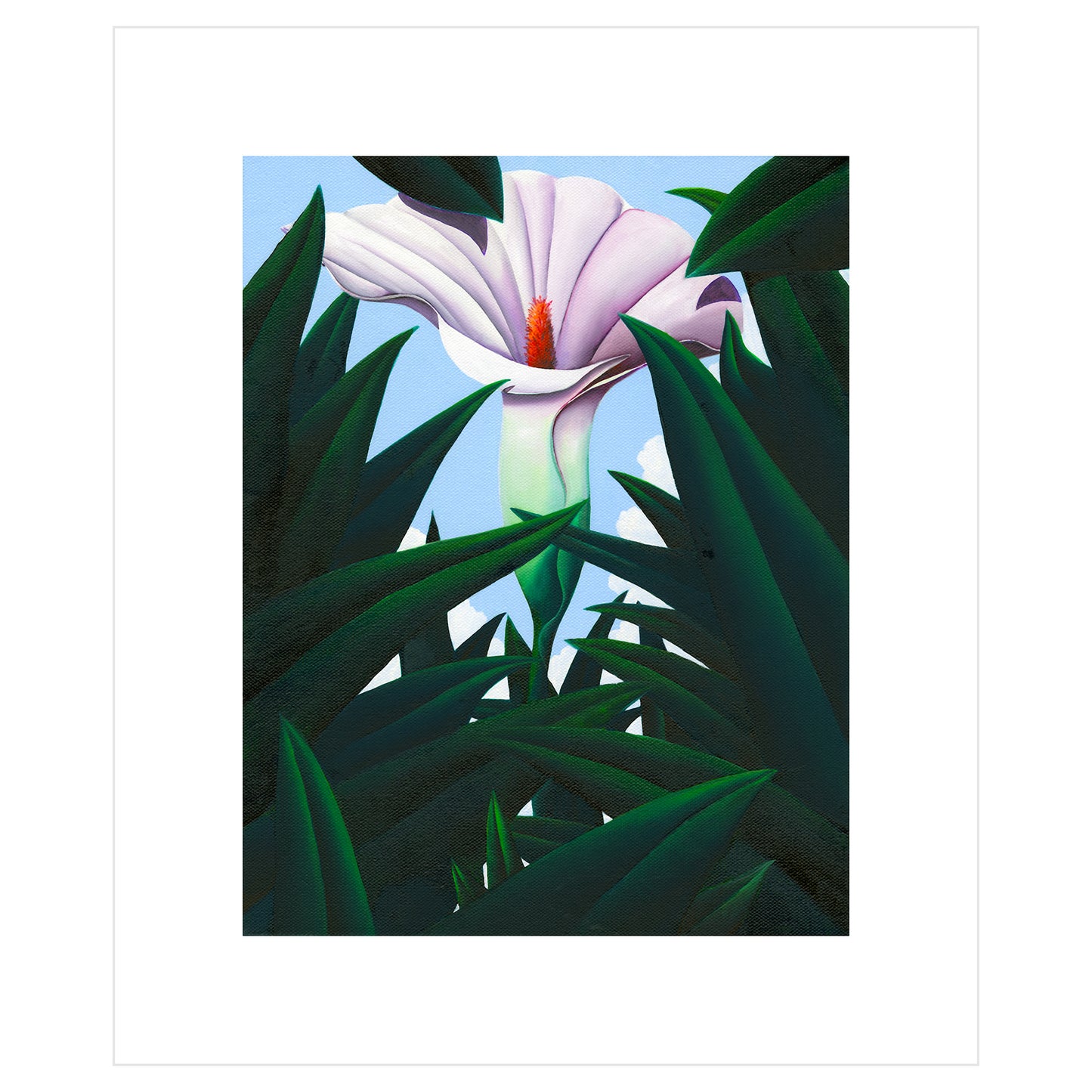 Single flower alone in the grass