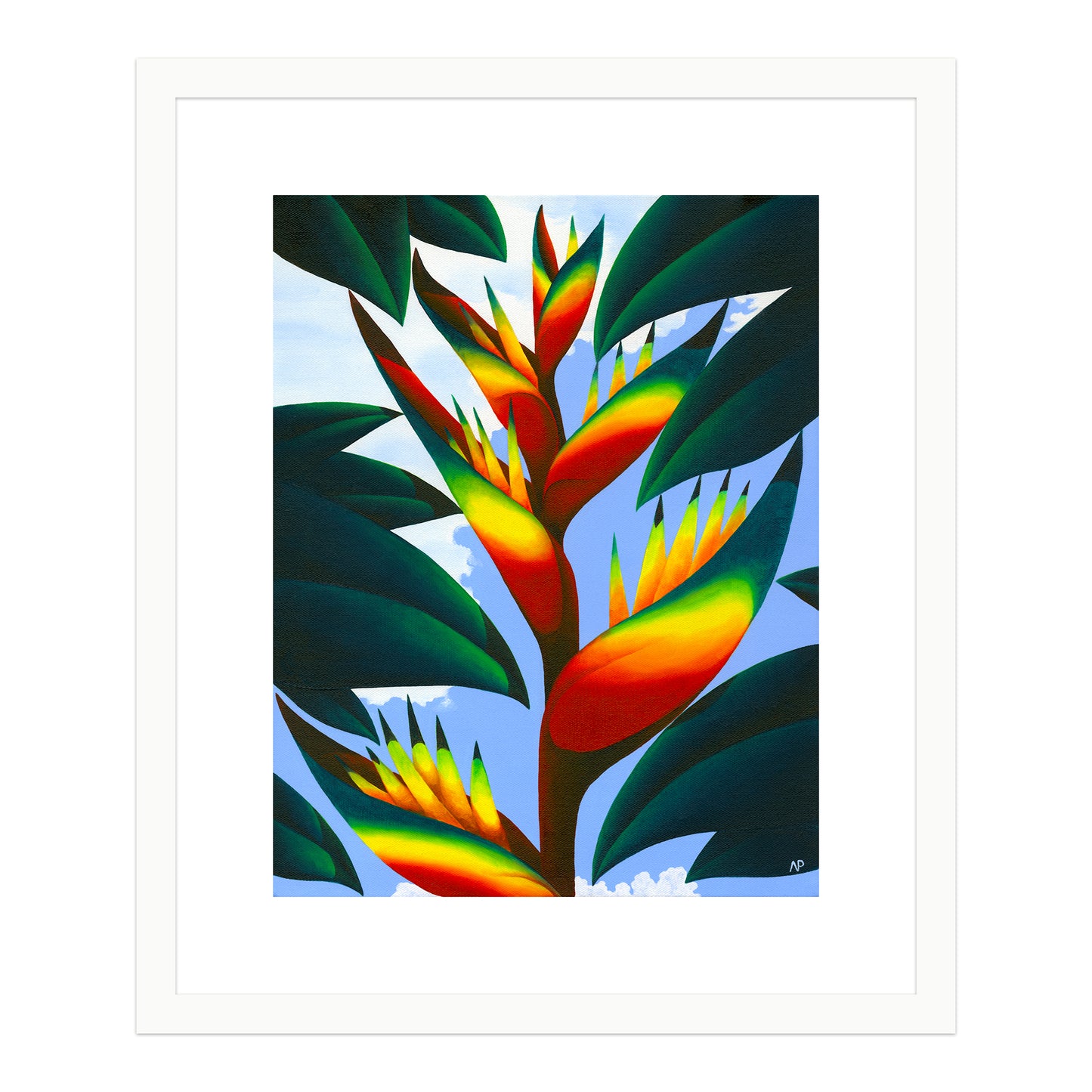 Macaw flower