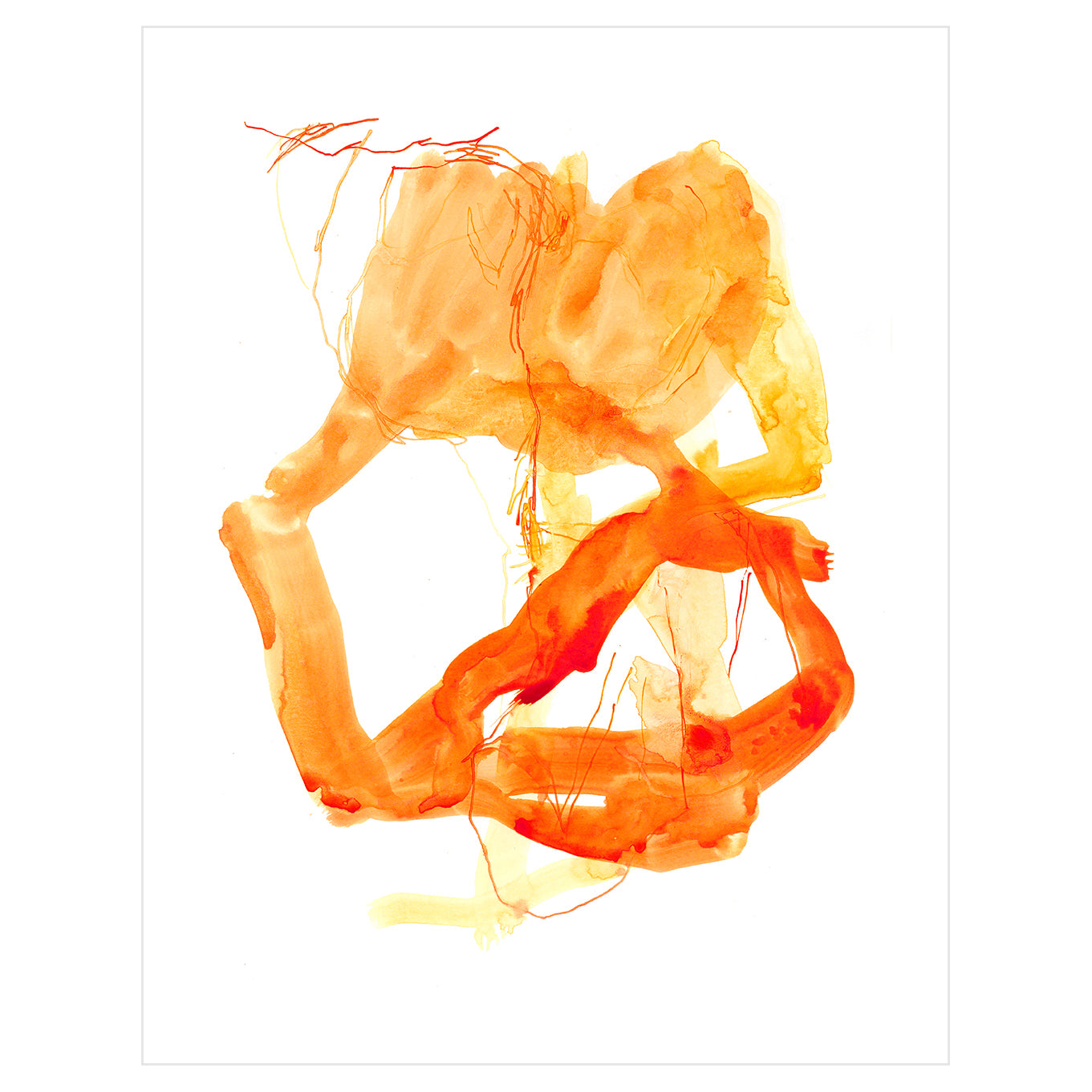 Coral #8