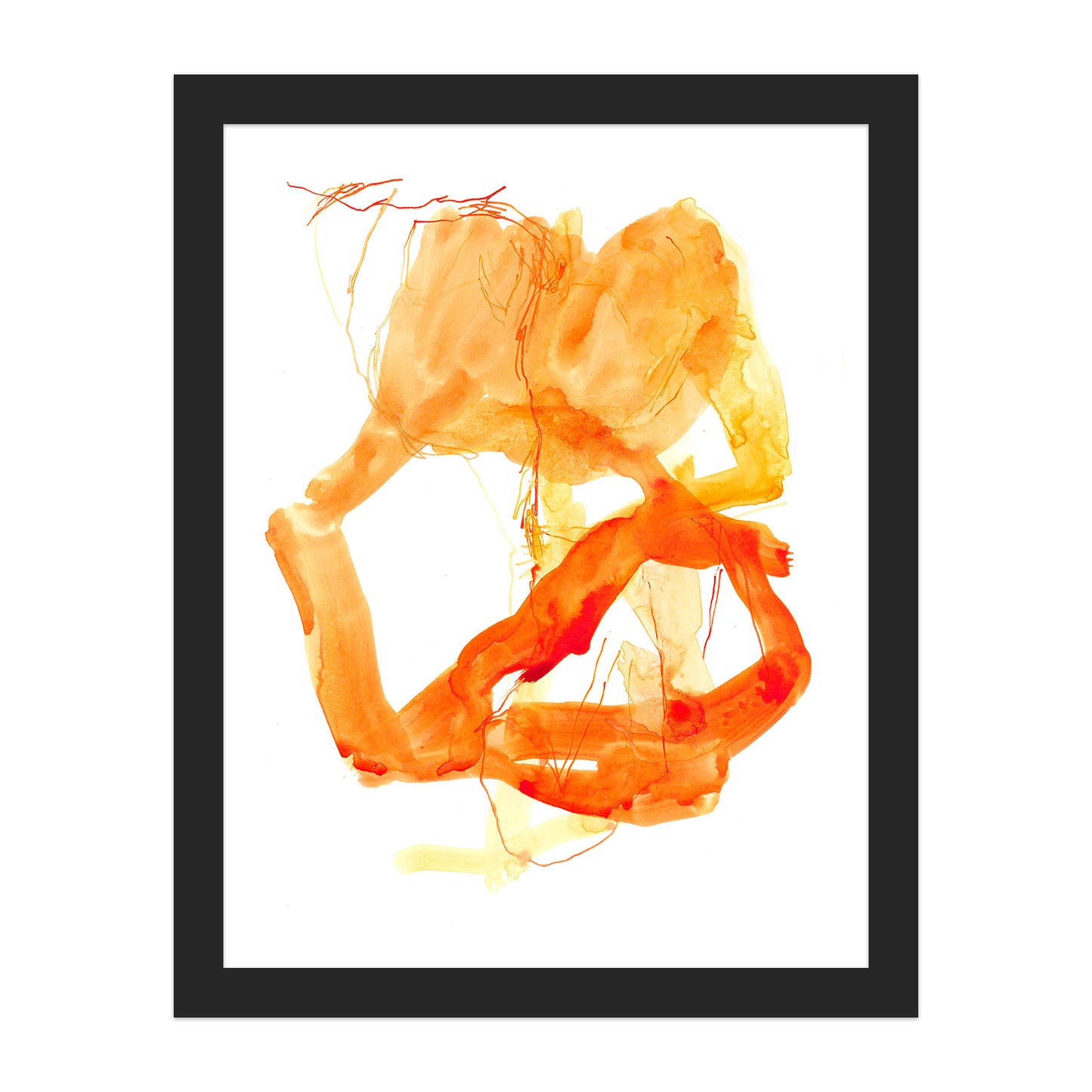 Coral #8