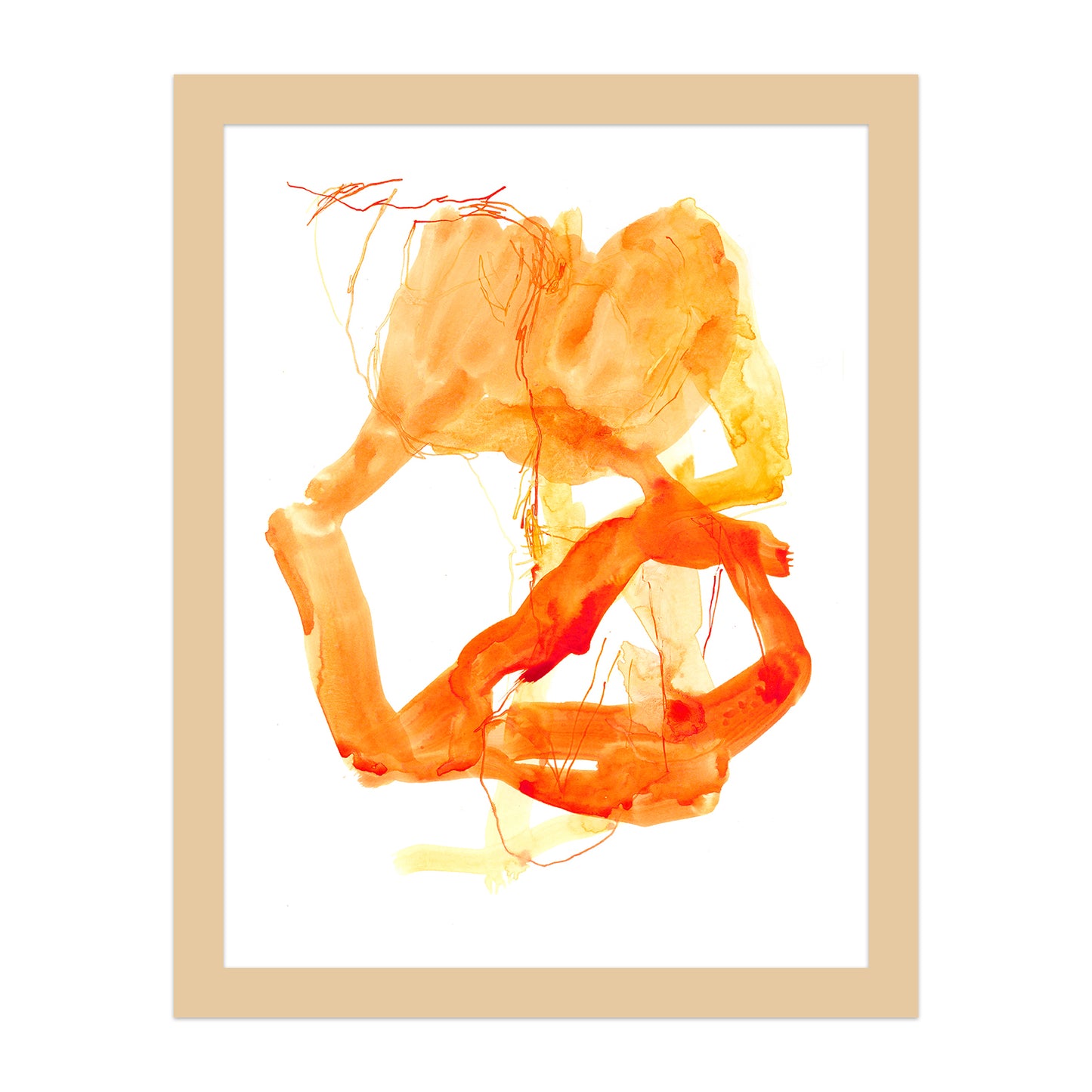 Coral #8