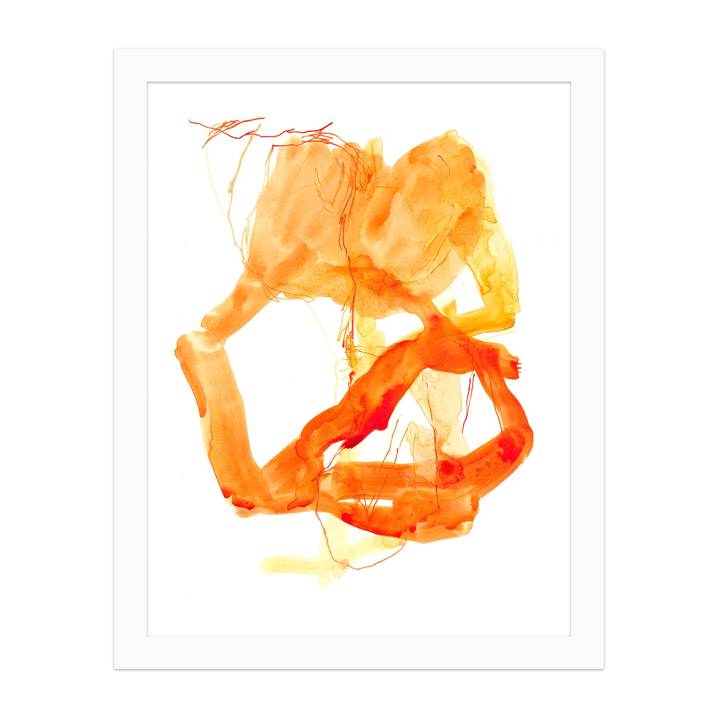 Coral #8