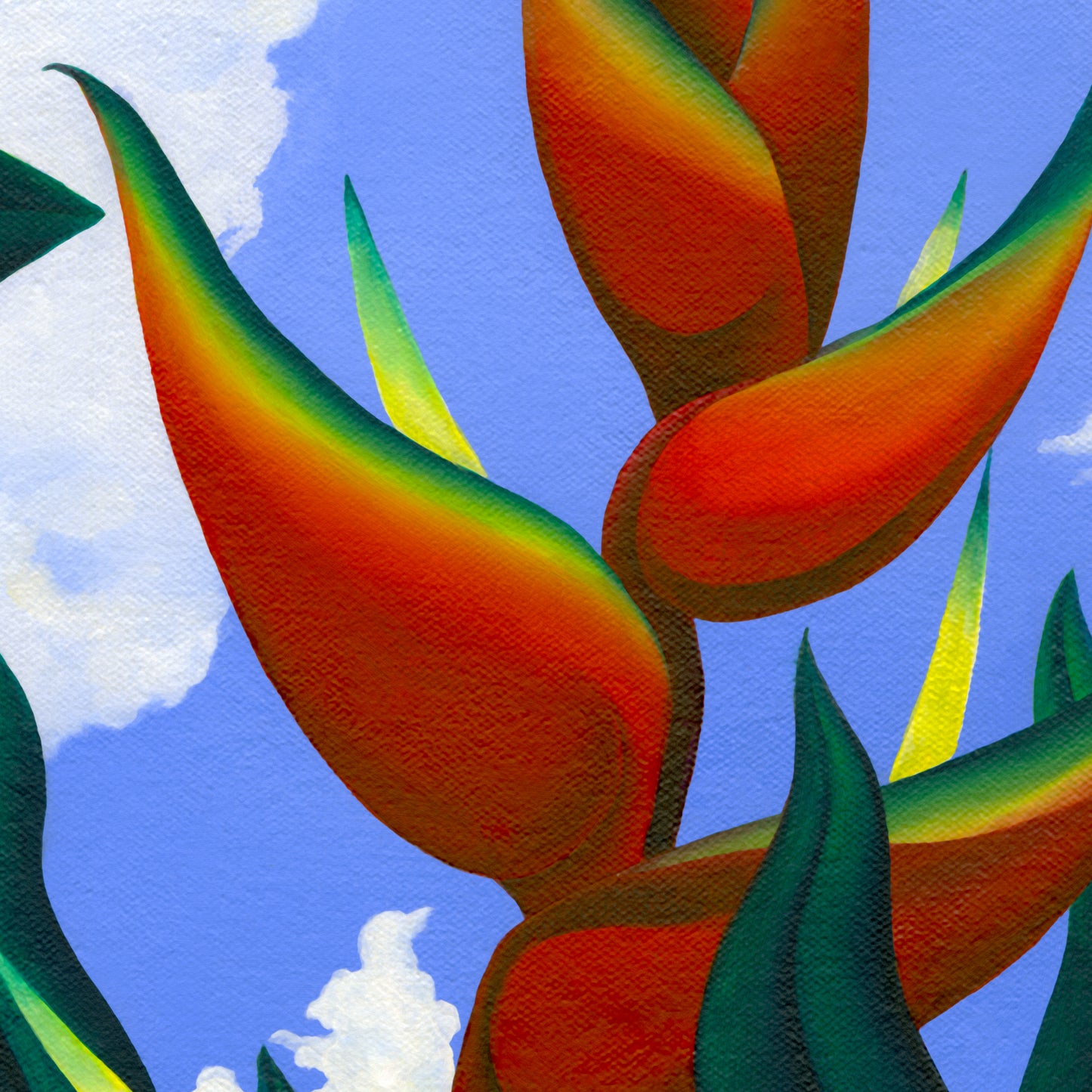 Heliconia bihai