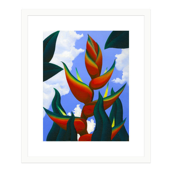 Heliconia bihai