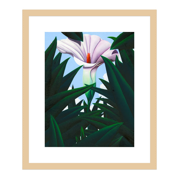 Single flower alone in the grass