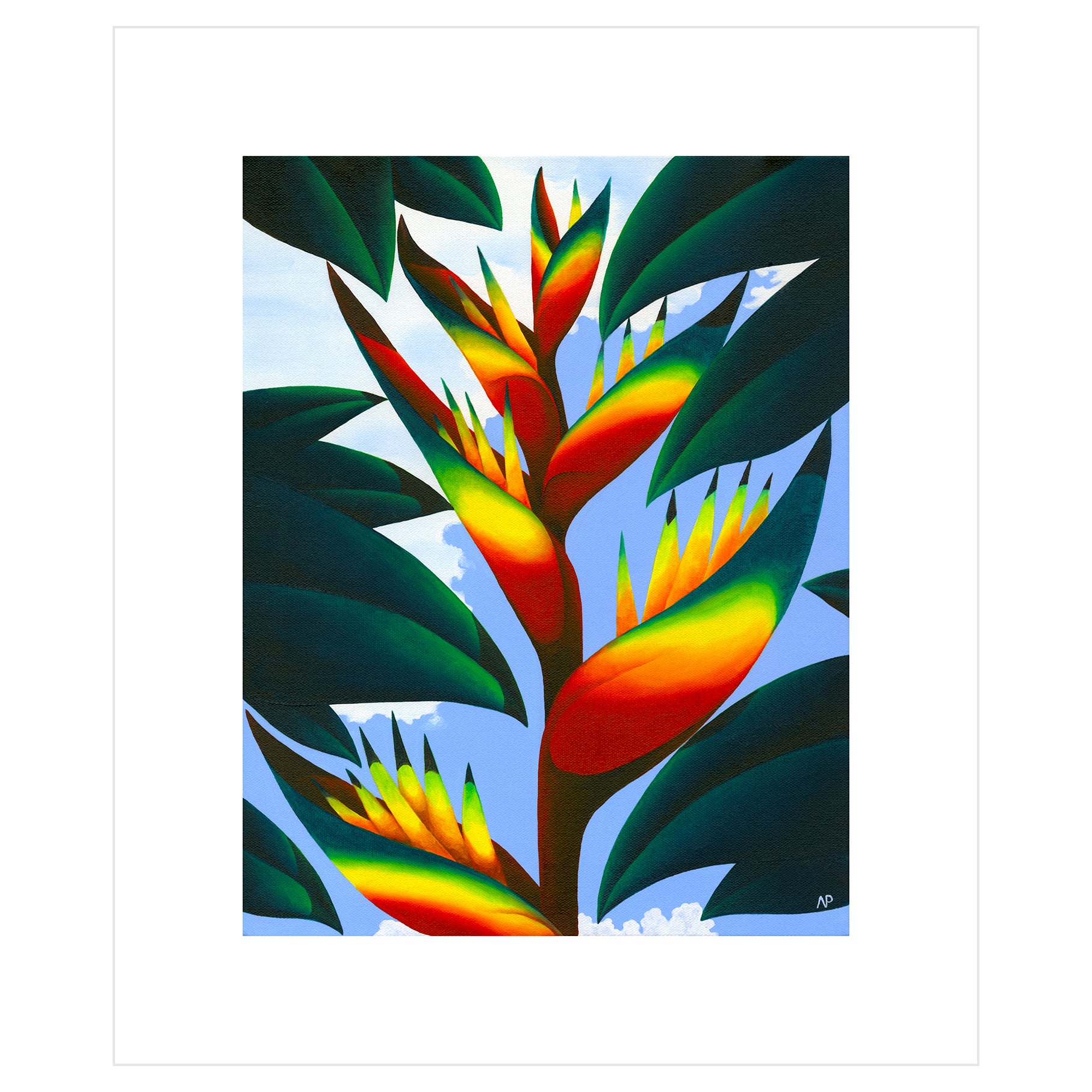 Macaw flower